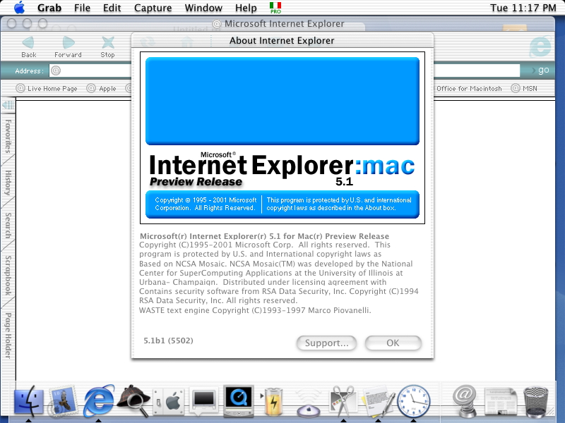 internet explorer for mac court decision